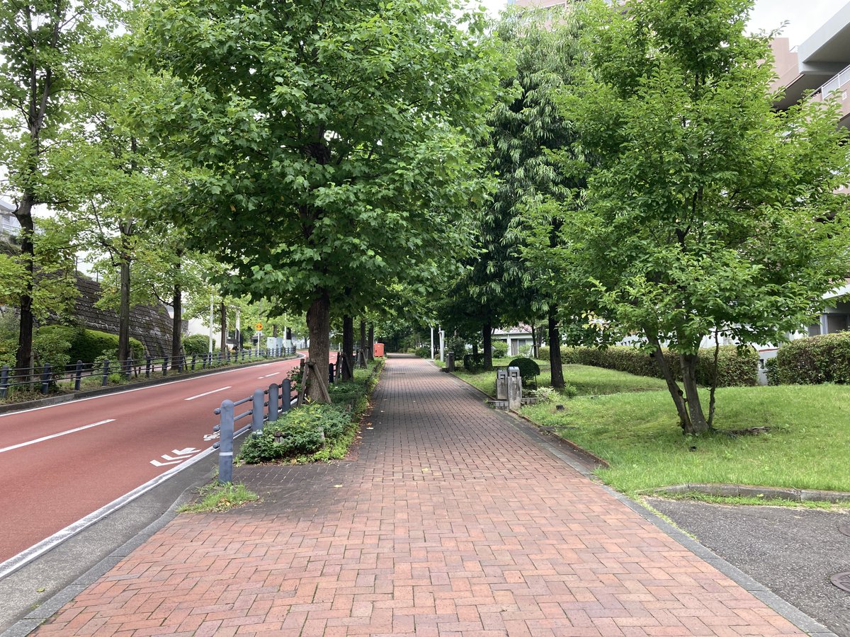 piko2003's tweet photo. 朝のお散歩。
今日は上り坂コースです。 https://t.co/OSVEwZYEwe