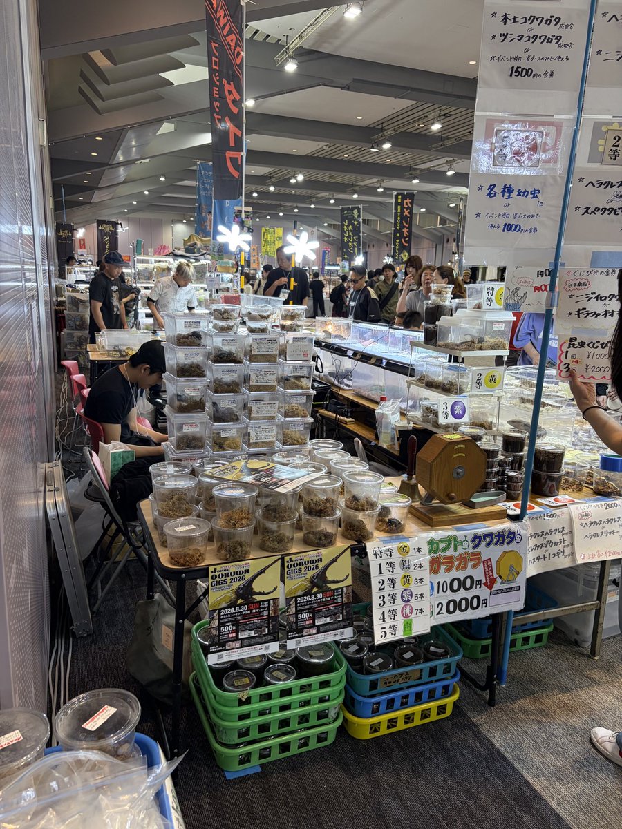 jonnyookuwa's tweet photo. クレイジーワールドさんが本日・明日 レプタイルズフィーバーに参加され、プロショップダイワ ブースにて ジョニーのチラシを配布してくださいます⚡️

心より感謝申し上げます。
大阪の皆さま、ぜひ手に取ってください！ https://t.co/pQhrLdOZzN