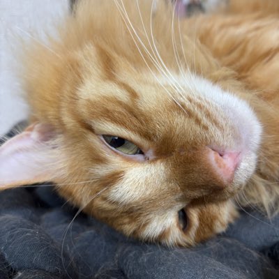 azum0058's tweet photo. #新しいプロフィール画像 https://t.co/2gcISUQSvu