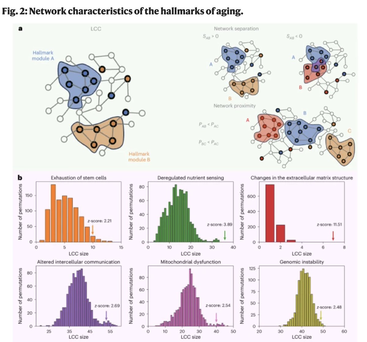 dantawfik's tweet photo. The problem with aging research isn't that we don't know which genes are involved. It's that we know about thousands of them, and they're all interconnected in ways that make targeting any single one ineffective.

A new Nature Aging study just mapped 2,358 longevity-associated genes onto the human interactome to solve a fundamental bottleneck: how to identify existing drugs that can modulate specific aging processes without spending a decade developing new compounds.

Researchers from Harvard Medical School introduced a network medicine framework that does two things previous drug-repurposing approaches couldn't: it identifies which drugs are positioned to affect specific hallmarks of aging, and it predicts whether those drugs will counteract aging or accelerate it.

The hallmarks of aging aren't independent biological processes. They're deeply interconnected. Among the 2,358 genes analyzed, 1,250 could be linked to specific hallmarks. Of those, 860 genes are exclusive to a single hallmark, but 390 span multiple hallmarks. One gene, TP53, is associated with 7 different hallmarks, reflecting its roles in DNA repair, apoptosis, and other essential cellular processes.

The first major finding: genes associated with each hallmark form connected subgraphs in the human interactome. These aren't random collections of genes scattered across cellular networks. They're distinct hallmark modules with statistically significant connectivity.

This matters because it allows network proximity calculations. If a drug's protein targets cluster near a hallmark module in the interactome, the drug is more likely to perturb that specific aging process. The researchers evaluated 6,442 clinically approved or experimental compounds against each hallmark module.

Network proximity alone isn't sufficient. A drug might be positioned to affect a hallmark, but you need to know directionality. Does it counteract aging or reinforce it?

That's where the second advance comes in: a transcription-based metric called pAGE (Pro-Age). It evaluates whether the expression changes induced by a drug reinforce or counteract known age-related expression changes within each hallmark module.

Here's how it works: aging produces characteristic gene expression shifts in each hallmark. Some genes get upregulated, others downregulated. When a drug is administered, it induces its own expression changes. pAGE measures whether those drug-induced changes move expression patterns toward a younger profile or toward an older one.

A positive pAGE score means the drug reinforces age-related changes, potentially accelerating aging. A negative pAGE score means it counteracts them, reversing the expression signature toward a younger state.

By integrating network proximity and pAGE, the framework identifies drug candidates that are both positioned to affect specific hallmarks and directionally correct—they reverse aging-associated expression changes rather than amplifying them.

The predictions are interpretable. For each drug-repurposing candidate, the framework reveals the precise molecular mechanisms by which it modulates the specific hallmark. These aren't black-box predictions. They're experimentally falsifiable hypotheses with defined protein targets and expression signatures.

Some examples from the study: compounds with high network proximity to the genomic instability module and negative pAGE scores are candidates for targeting DNA damage pathways. Drugs near the mitochondrial dysfunction module that reverse age-related mitochondrial gene expression changes represent potential interventions for bioenergetic decline.

The approach extends to all 11 hallmarks: genomic instability, telomere attrition, epigenetic alterations, loss of proteostasis, disabled macroautophagy, deregulated nutrient sensing, mitochondrial dysfunction, cellular senescence, stem cell exhaustion, altered intercellular communication, and changes in extracellular matrix structure.

This framework doesn't just predict which drugs might work. It predicts which specific aging process each drug will affect and through which molecular mechanism. That specificity is necessary because a comprehensive longevity strategy will likely require multiple interventions, each targeting different hallmarks.

The advantage of drug repurposing over novel compound development is timeline. Most of the 6,442 compounds analyzed have already undergone toxicity screening, have characterized targets, and have known side effects. They can move toward clinical testing faster than molecules that need to be developed from scratch.

The 47 statistically significant gene overlaps among the 55 possible hallmark pairs confirm that aging isn't modular. The biological processes underlying different hallmarks talk to each other. Interventions targeting one hallmark may produce effects in others. That interconnectedness is both a challenge and an opportunity for combination therapies.

The study validated the 1,250 hallmark-associated genes against independent datasets: age-related KEGG pathways, six large-scale aging studies, five aging-related diseases, eight cancer types whose incidence increases with age, and genes involved in progeroid syndromes. The enrichments confirm these genes are broadly relevant to longevity.

The decisions about which repurposed drugs to test experimentally will depend on whether the network proximity and pAGE predictions hold up in model organisms and eventually in human trials. The framework provides the hypotheses. Validation will determine which predictions translate into therapeutic interventions.

Aging research has produced thousands of genetic associations but few effective treatments. This study introduces a systematic method to convert genomic discoveries into testable drug candidates by mapping gene networks, calculating drug proximity to aging modules, and predicting whether interventions move molecular profiles toward youth or toward senescence.