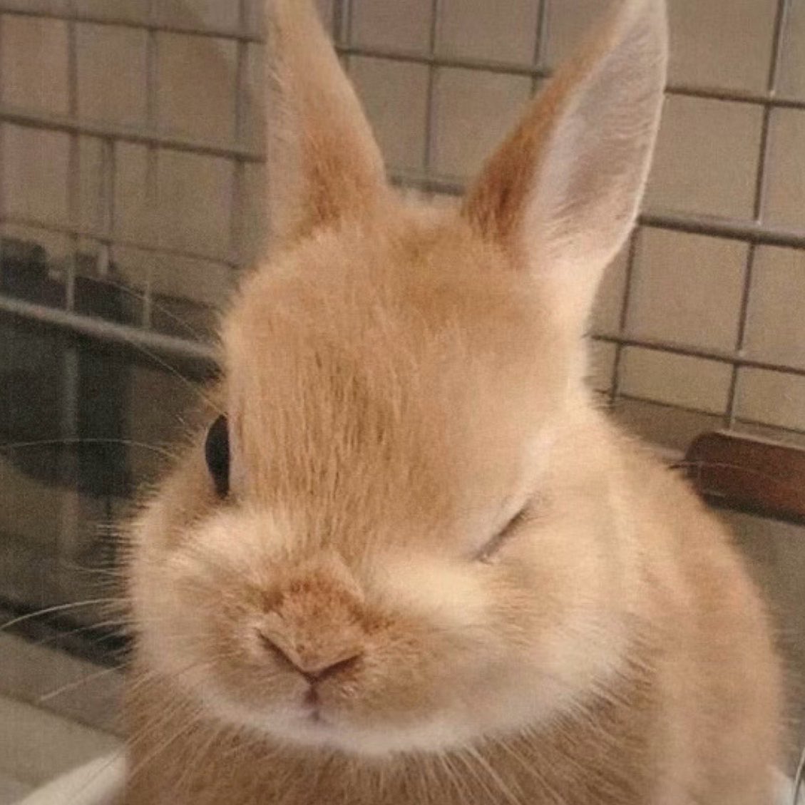 etta⁷ ❀ seeing bts tweet media