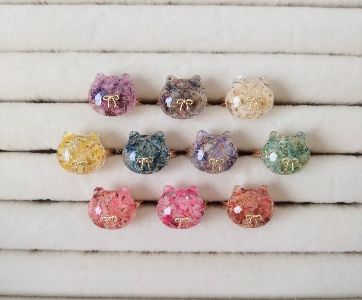 ドライフラワー猫ちゃんリング🌼🐱💍 上から紫黒白黄色水色青緑赤