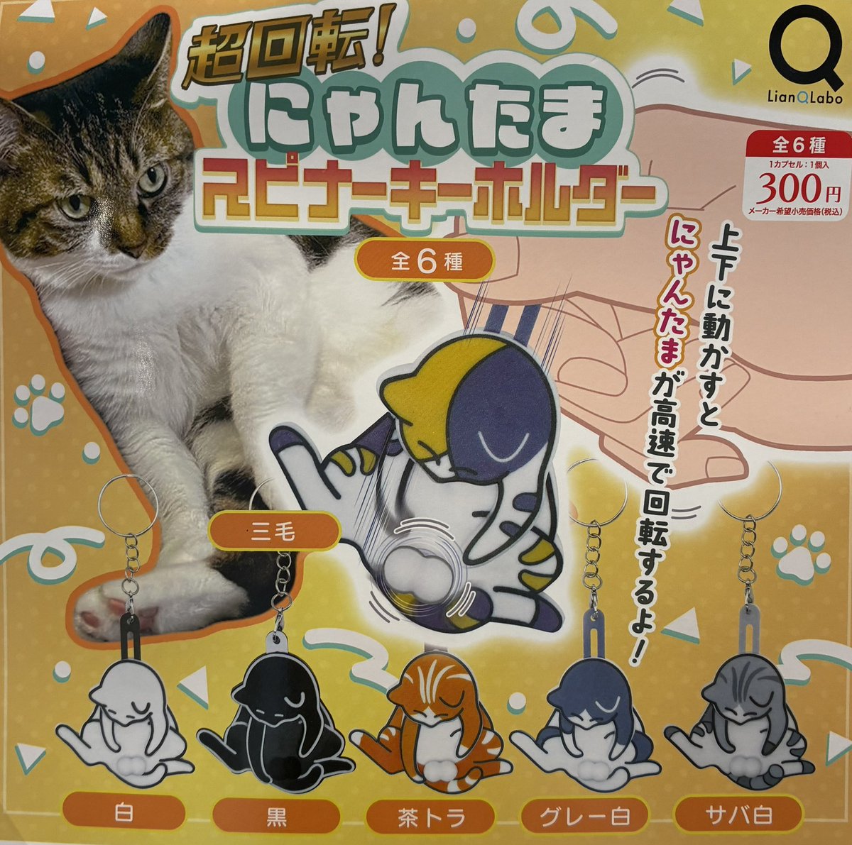 7/4（土） 📢 🙇完売のお知らせ🙇 ❎超回転! にゃんたまスピナー