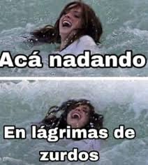 Vegetasuspend's tweet photo. Jajajajajajajajajajajajajajajajajajajajajajajajajajajajajajajjajajajaja
12 días después de las elecciones y aún seguimos… https://t.co/pP9PPL10J3