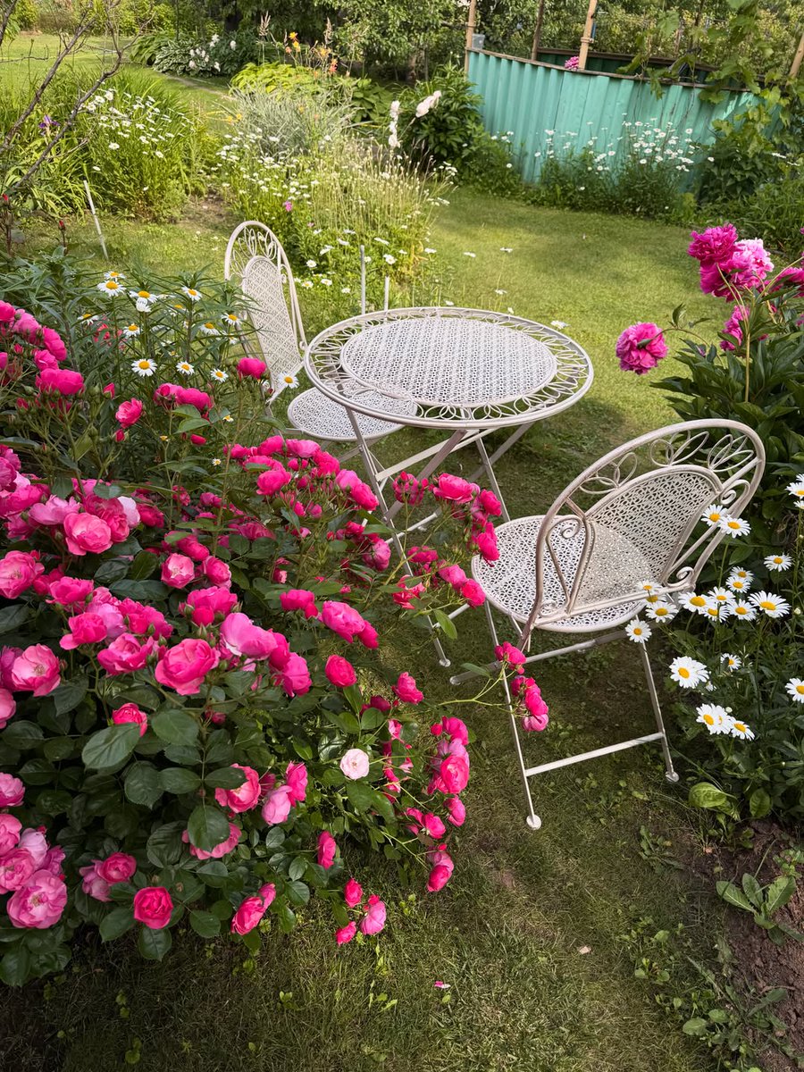 flowers library tweet media