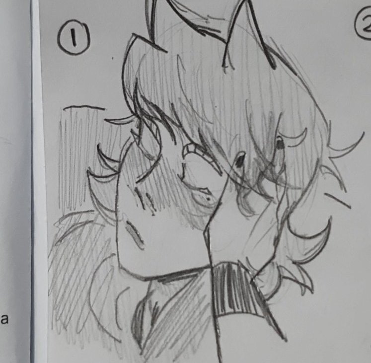 LAN51_COMS's tweet photo. Desde cuando su cabello es tan...
\(●///□///●)/
#tomxtord #tord #tom #eddsworld https://t.co/mYOri8xtOW