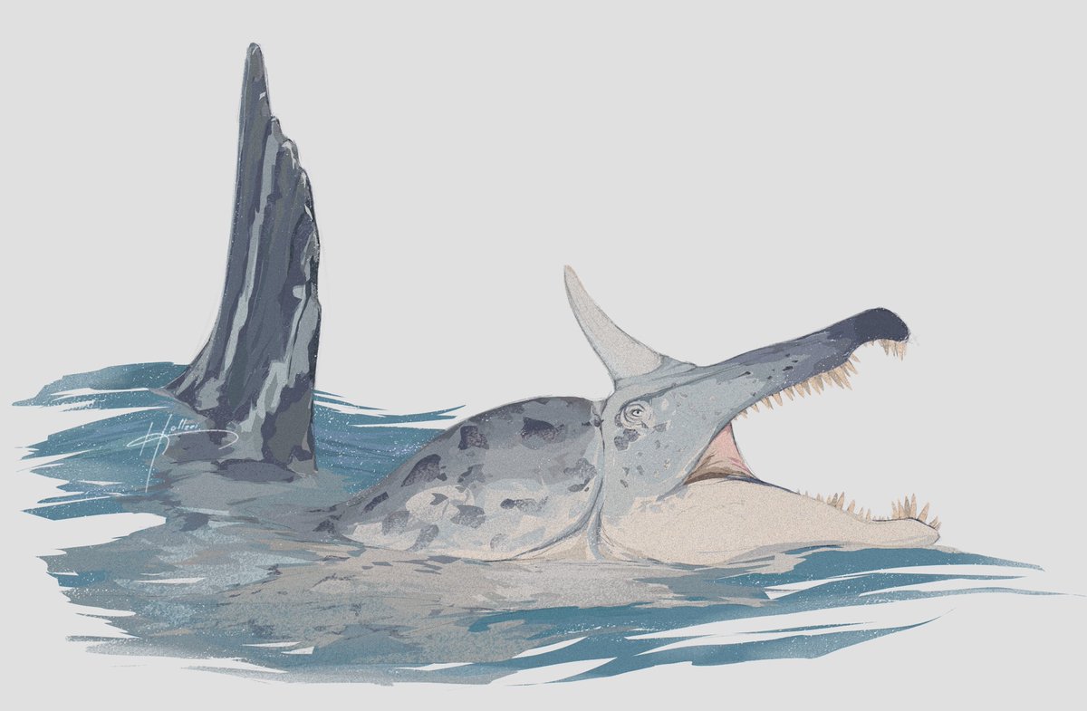 hollzeei's tweet photo. spinosaurus mirabilis
#paleoart #art #spinosaurus https://t.co/4xkYU1mnGx