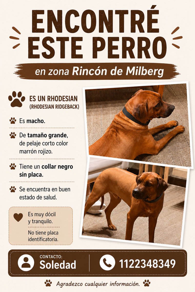 soleechague's tweet photo. @flandivar me ayudas difundiendo porfa? https://t.co/9Zz7VWNhGV