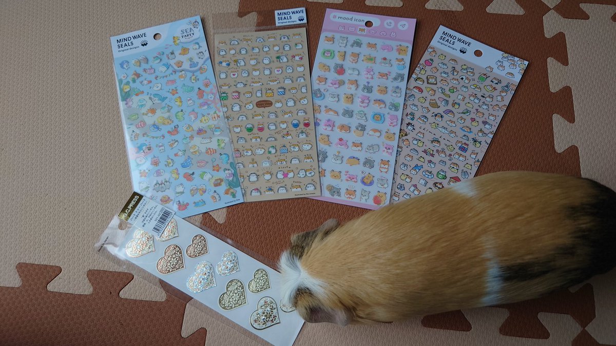 Prettyhamucyan's tweet photo. 昨日、お買い物行ってきた✨
前に買った靴下とキーホルダーのお揃い『限界突破』のポーチ発見！！🙌
ベイマックスの消しゴムも超かわいい https://t.co/ER7Yyoy1sZ