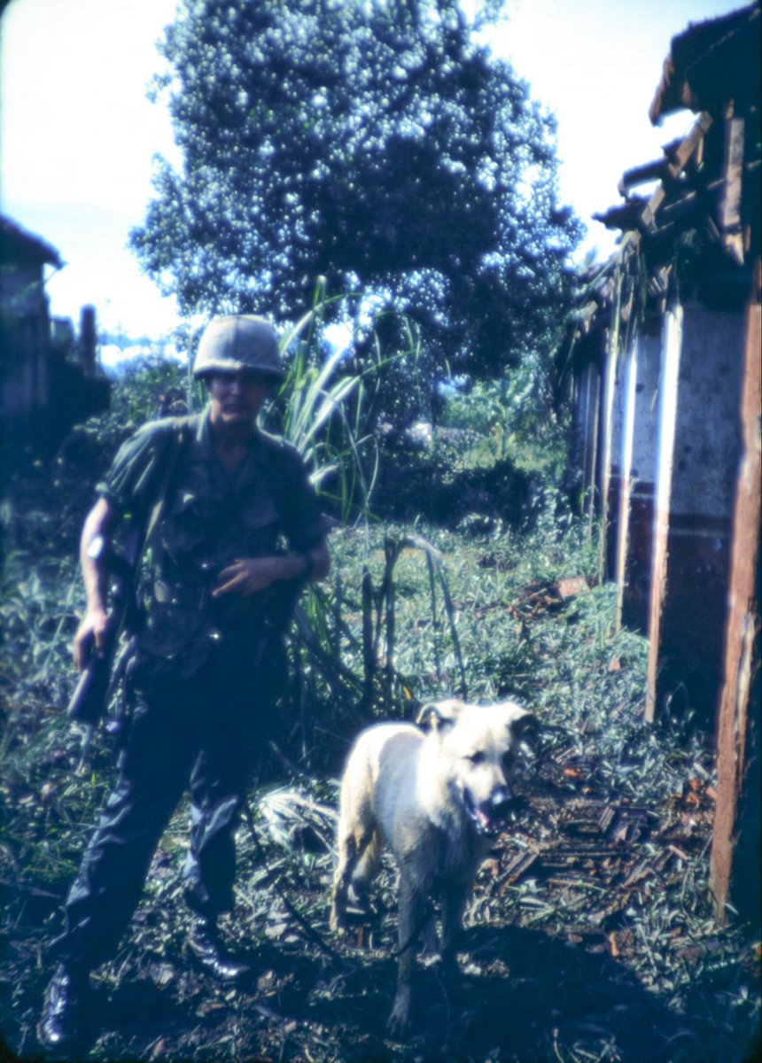 Free90baeTrial's tweet photo. Happy Dog Vietnam weekend to all the dogs getting and dealing with PTSD as fireworks go boom in the night sky https://t.co/DXTS0HOlQ8