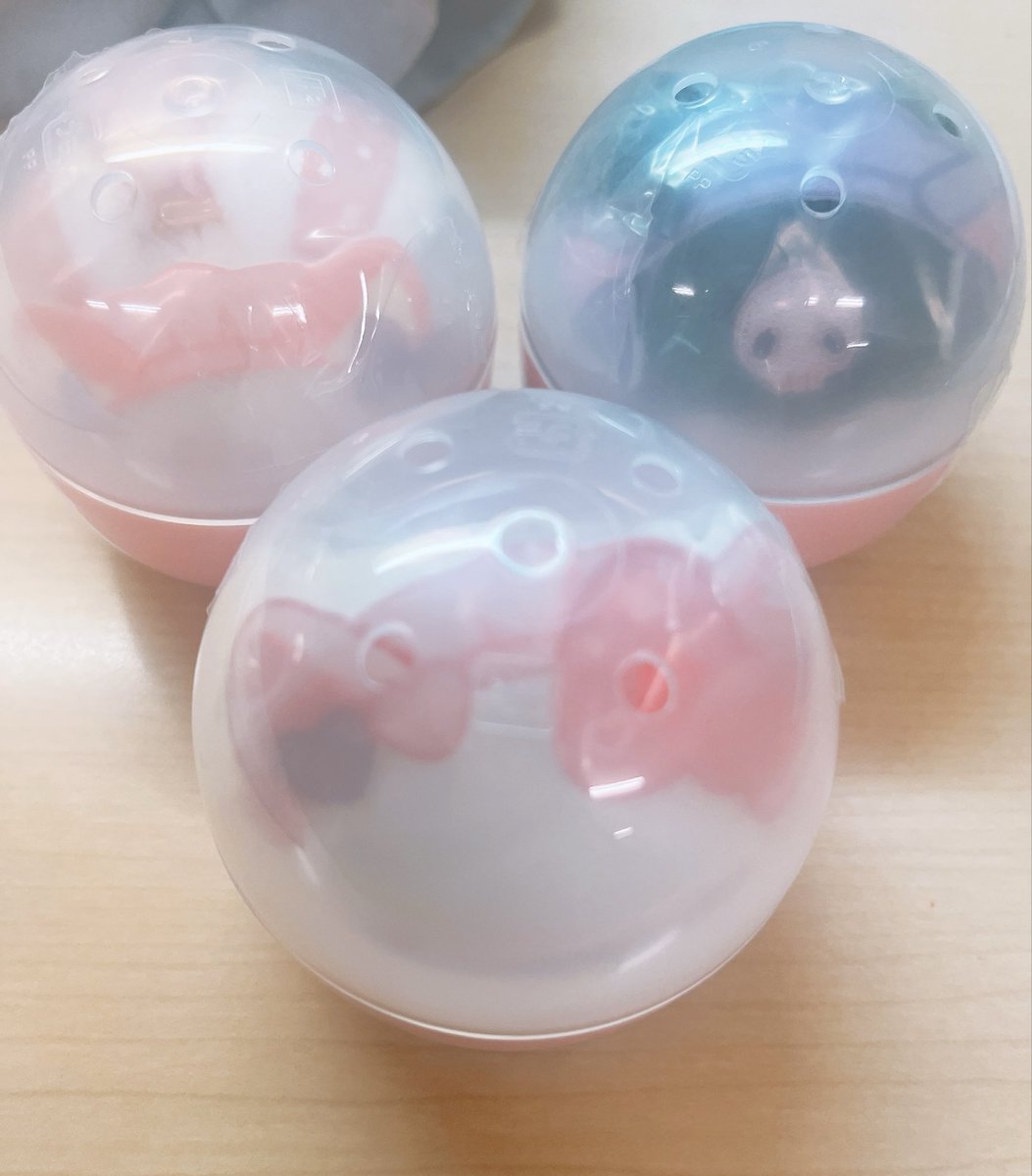 Alice_20001211's tweet photo. @jun_teatime はじめまして、検索よりお声がけ失礼いたします。
クロミちゃんを所持しているのですが、純太様への譲渡は可能でしょうか？
お品物の写真を添付いたしますので、ご検討いただけますと幸いです。よろしくお願いいたします。 https://t.co/fZtYJqIxw6