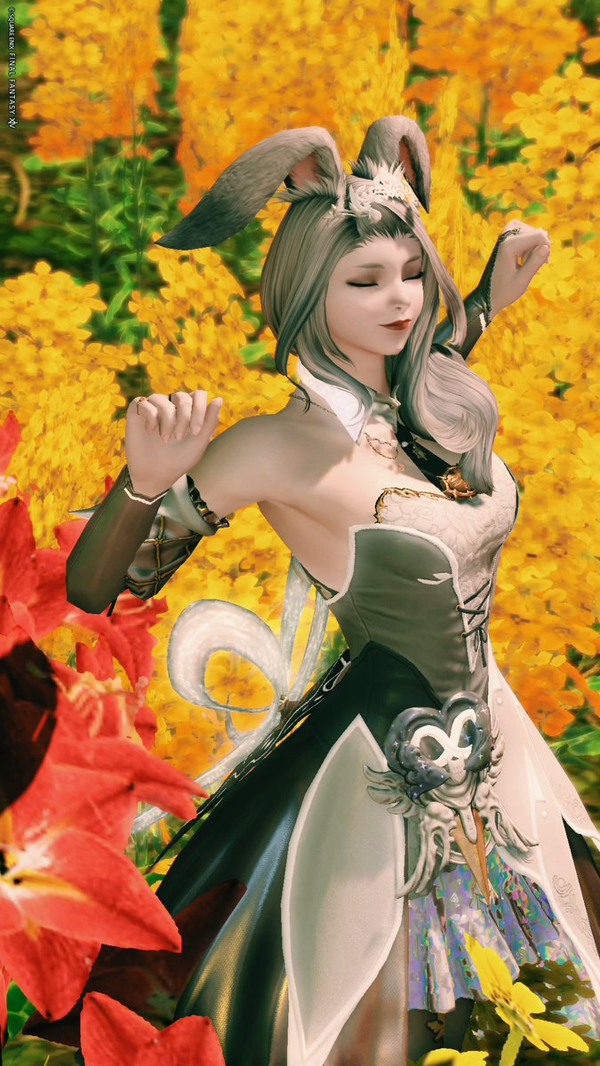 Fps_ym's tweet photo. #おはウサ
#ヴィエラ
#FFSS
#FF14 https://t.co/IGeEmuNd8i