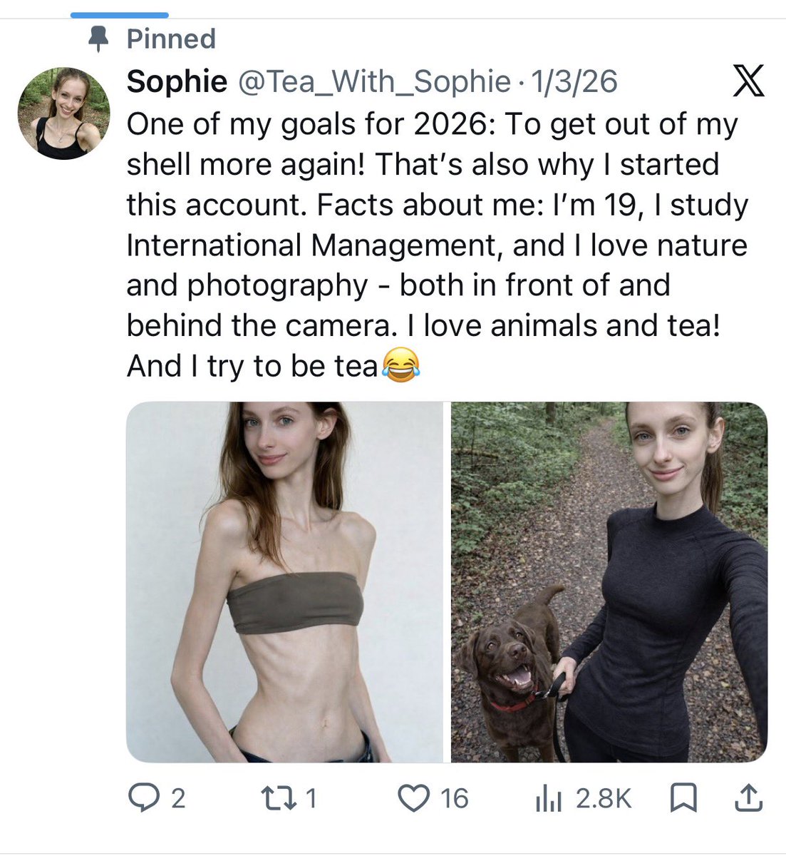 thin4anakisses's tweet photo. this account is AI and there is 100% an ana fetishist behind it. PLEASE be careful on this app https://t.co/HEW5MJaD76