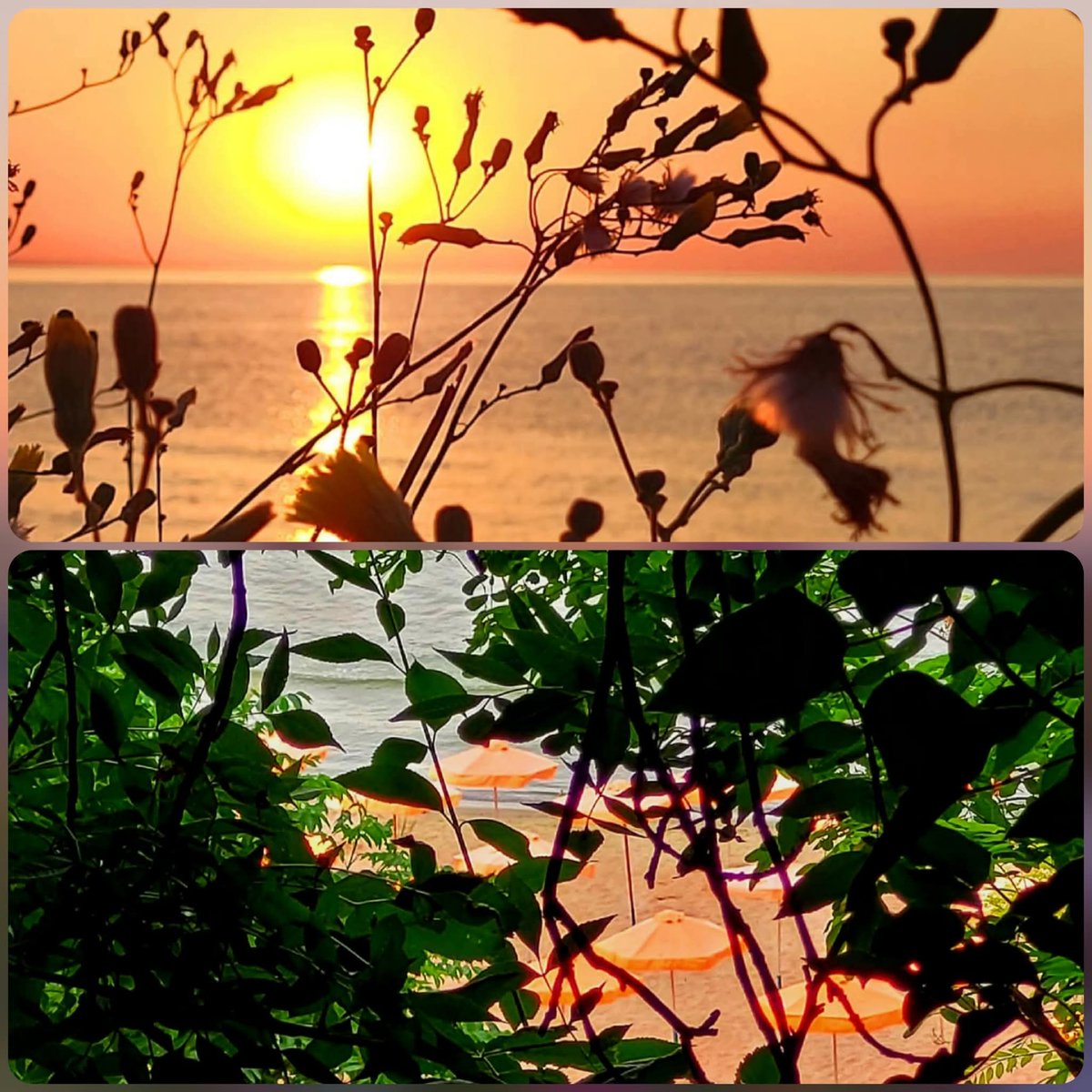 var223's tweet photo. Il suffit d'une étincelle d'esprit pour rallumer un feu de vie.
Josiane Coeijmans

Joli et agréable weekend!
#Weekendvibes
#Saturdaydream https://t.co/Rai8GnfWqf