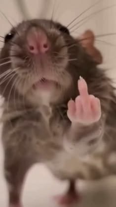 LittleGuySMP's tweet photo. @samzminee i DONT like you https://t.co/pdm3Zll2hZ