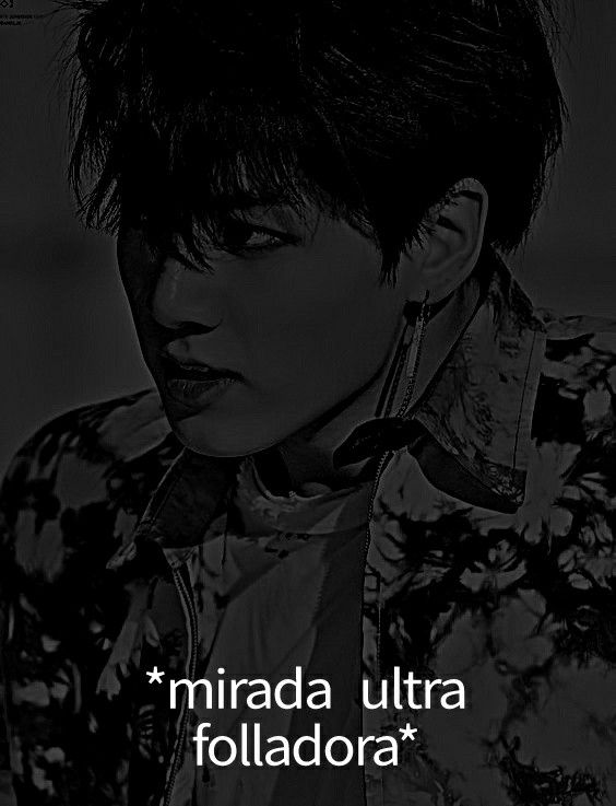 𓆏 tweet media