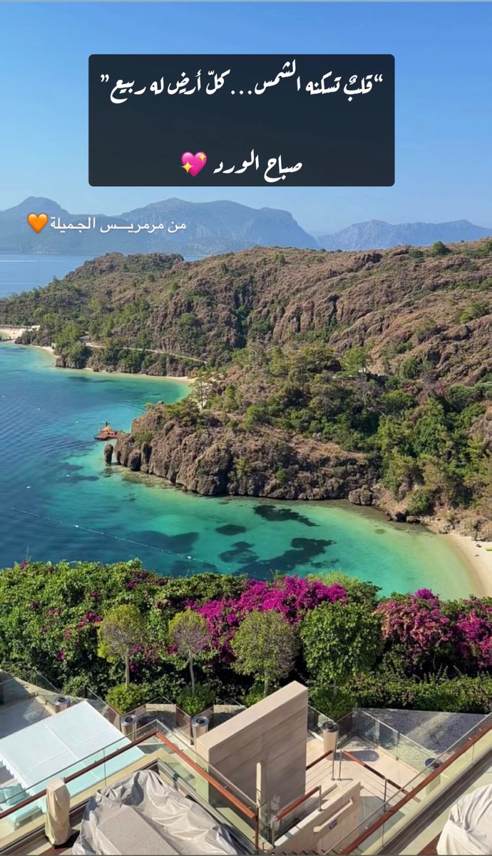 Bayanalkadi's tweet photo. #صباح_الخير🌷 https://t.co/xtjUAbtXsB