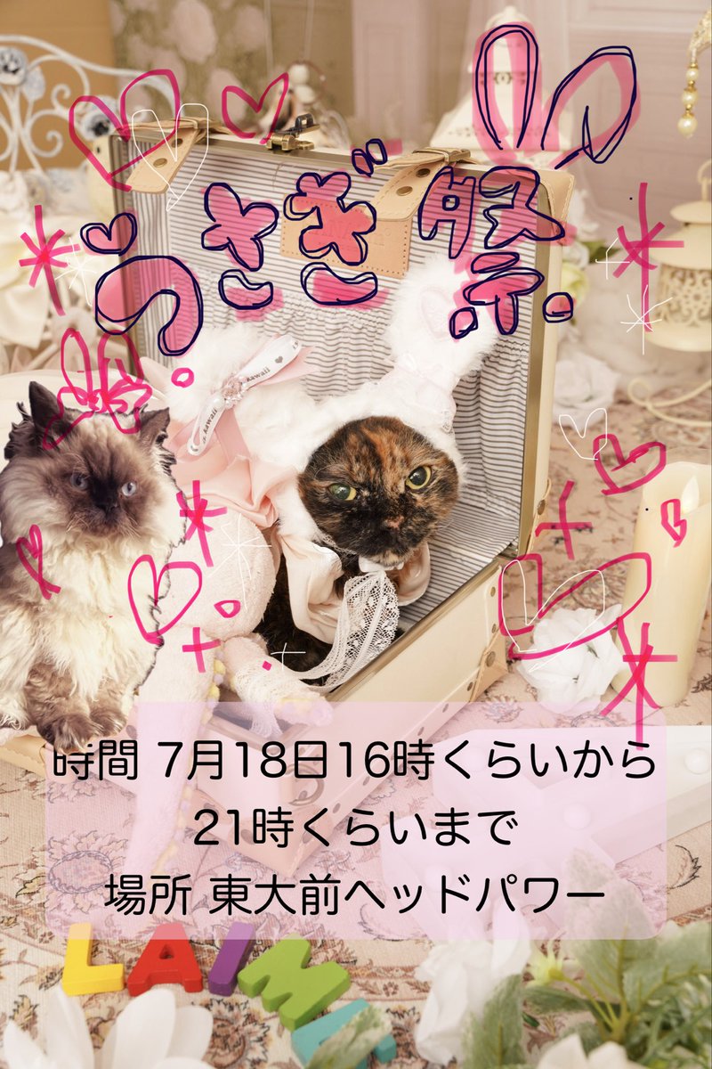 c_c_mar's tweet photo. 7月18日に久しぶりにうさぎ屋さん���るのでよかったら遊びに来てくださーい🐰

日時:7月18日だいたい16時頃から21時頃まで
場所: 東大前ヘッドパワー
チャージ¥3000/1h 
ドリンク別

来れる人一応連絡ください🐰 https://t.co/Gzta0Xi0Oe