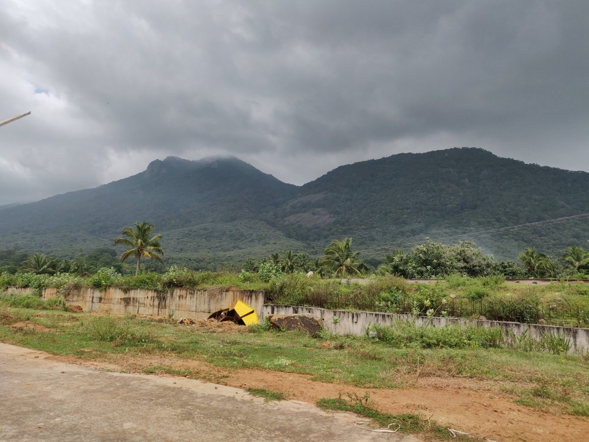 AnanthOnTrack's tweet photo. Sitting on this motor trolley, I managed to capture the green and scenic landscape of the Sengottai-Thenmala section in the jurisdiction of @drmmadurai during my inspection in 2018! #IndianRailways #inspection #memories https://t.co/rXZbBykb2D