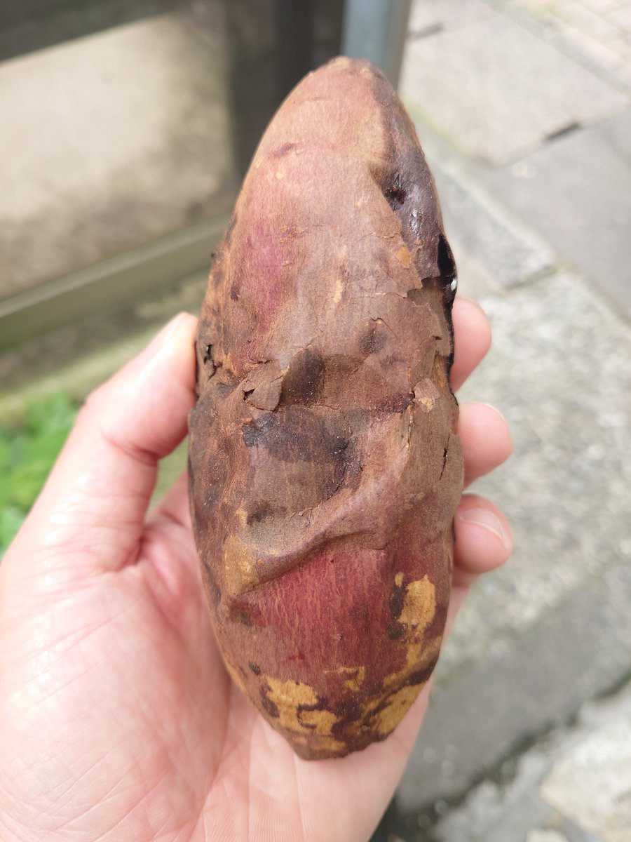 ishiyakiimo5's tweet photo. 今日のお昼ごはんです🍠
昔タイで買ってハマってしまいそれ以降カップヌードルはこれ一択。 https://t.co/EtOfU22V8m
