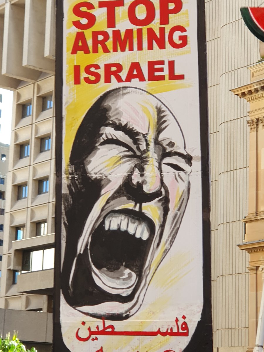 PeterWMurphy1's tweet photo. Powerful speeches rebuking the Labor Party at Sydney Town Hall today, outside the Labor Conference. So many superb signs too. Protest rally organised by Palestine Action Group. Good to be there. #auspol #nswpol #IsraeliTerrorism #GazaGenocide #FreePalestine #SaveLebanon https://t.co/trno0o1D6V