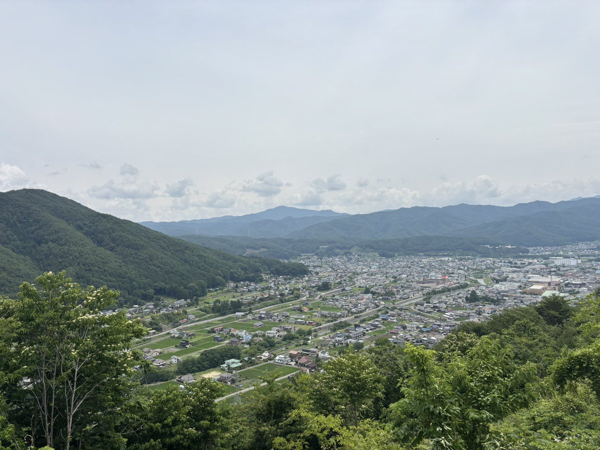 galm2fox2's tweet photo. 龍ヶ崎城その2（上伊那郡辰野町）。
天文14年、信玄が箕輪の福与城を攻めた際に小笠原長時が後詰めとしてここに布陣。が、板垣信方に急襲され落城し撤退したらしい。
主郭背後は上巾20m深さ10mの大堀切＋連続堀切2本、更に奥に距離を置いて2本の堀切が確認できる(^ ^) https://t.co/7M9URyviNa