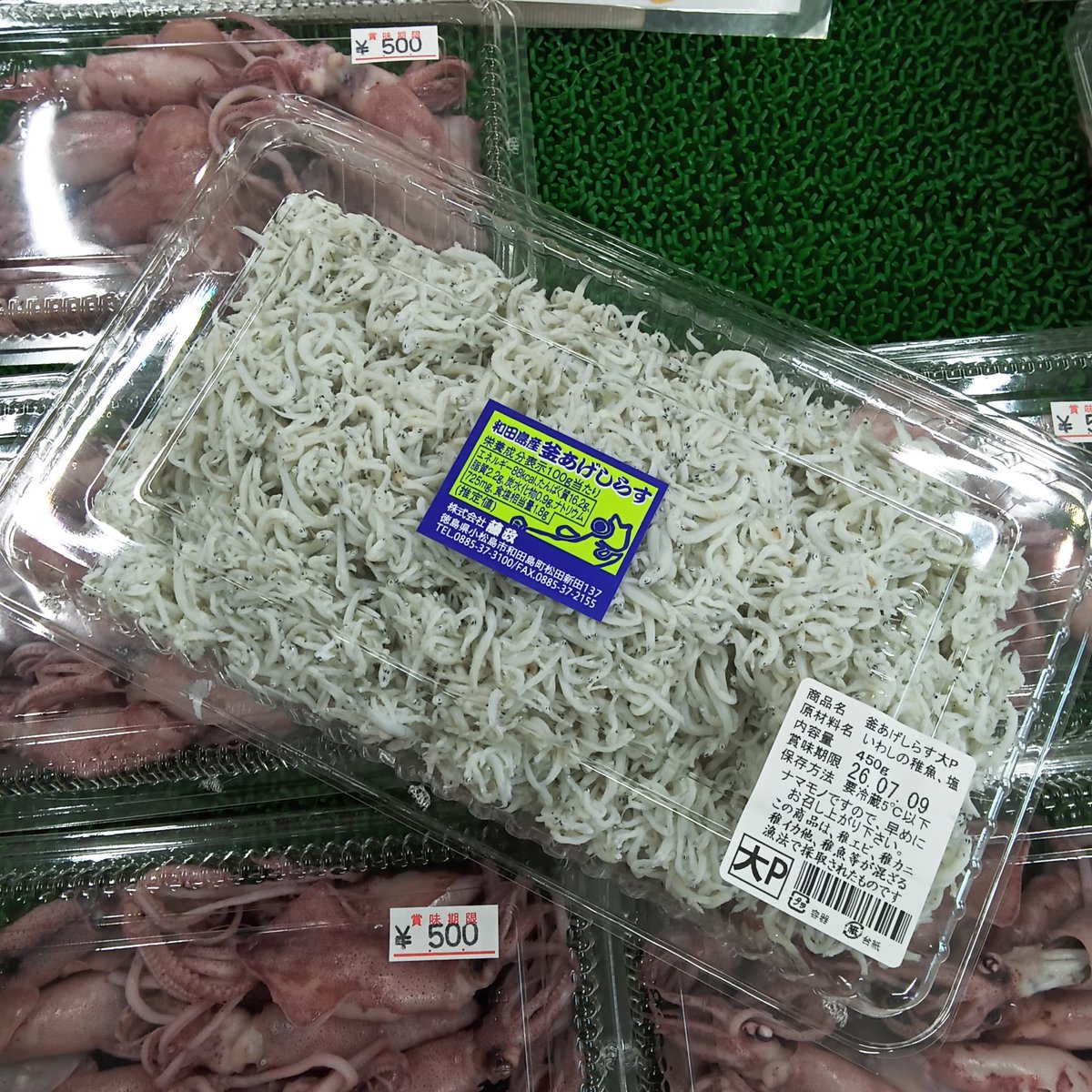 令和8年7月4日(土)☔ とれたてしらす入荷しました 生しらすは只今より