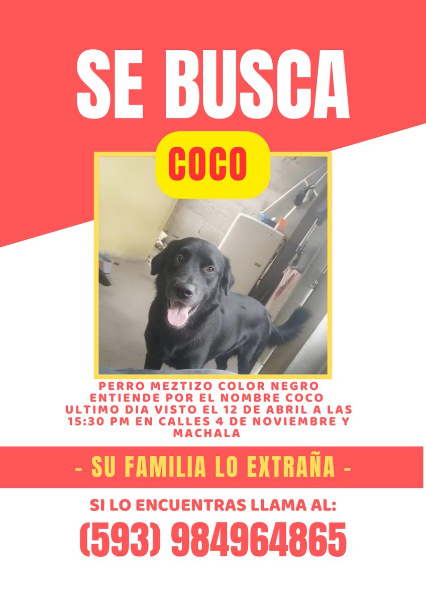 AlertaMePerdi's tweet photo. #ACTUALIZACION #PERDIDO #GUAYAQUIL
Nombre: #Coco
Fecha: 12-04-26
Sector: Centro, Machala y Rosendo Avilés
Sexo: Macho
Raza: Mestizo
Obsv.: Pelaje color negro, tiene una leve protuberancia en la cabeza
Contacto: 0984964865
¡Ayúdalo a volver con su familia!
#AlertaMePerdí https://t.co/qT3Q9pe1hG