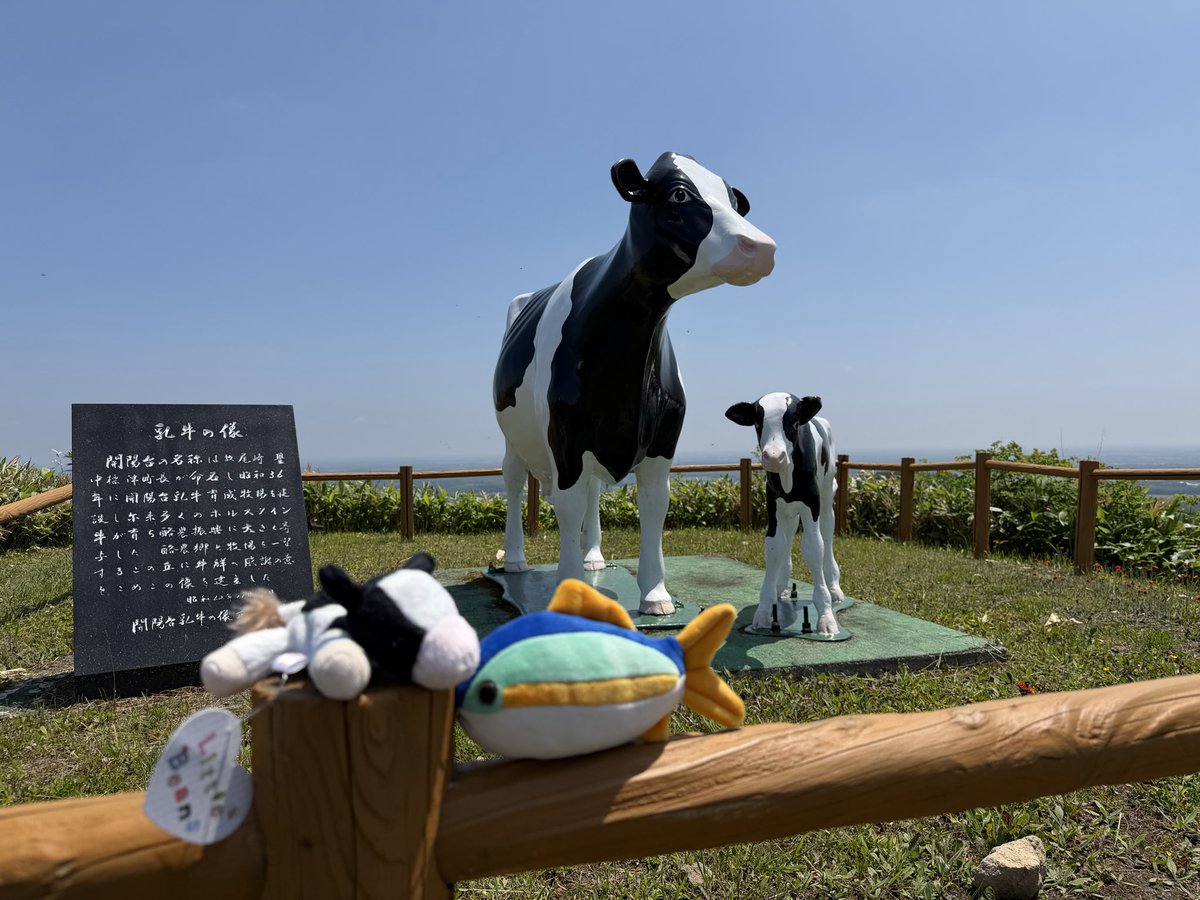 keis_pf's tweet photo. 地平線見に来た https://t.co/67KxOkna0N