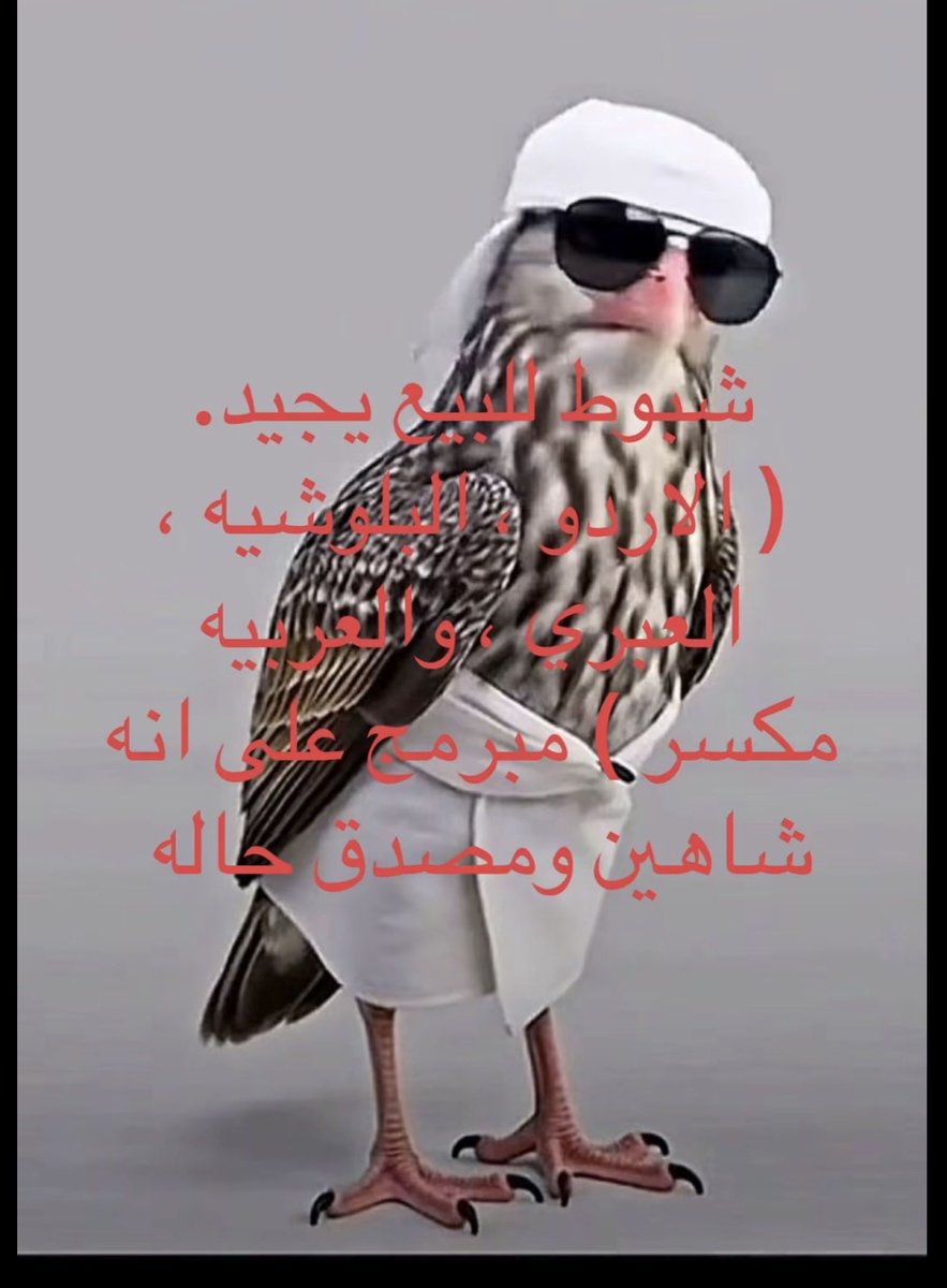 ABU MASHAL tweet media