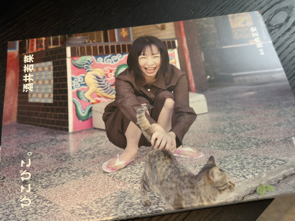 boxpan924's tweet photo. 自分が学生の時からファンだった酒井若菜さんの写真集お渡し会に。
地方住みだった身としては、今回初めて本人に会えて本当に感動✨
短い時間だったけど、このようなイベントを開催してくれて本当に感謝です🙏 https://t.co/nig1nW36UD
