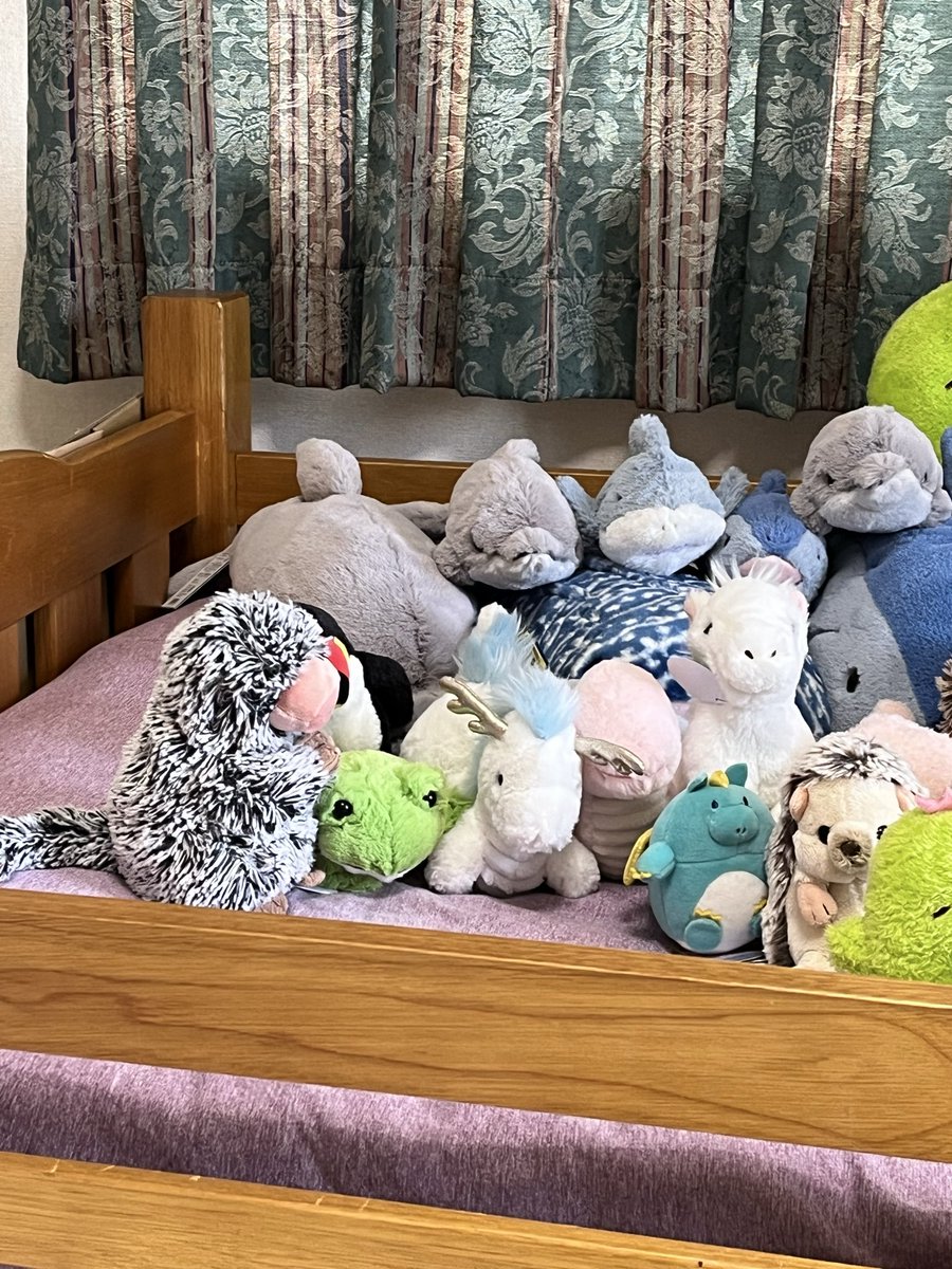 ShachooCactus's tweet photo. #サンレモン創立記念日 
サンレモン（@sunlemon_staff ）さん、創立記念日おめでとうございます！㊗️
#ぬい撮り #Sunlemon https://t.co/LoJ7vhc0CL