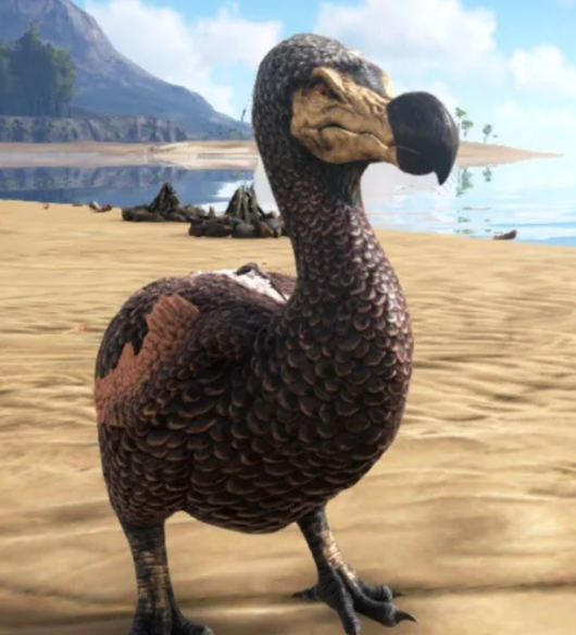 DevmasterZazo's tweet photo. everyone laughed at ARK's dodo.

turns out it was the first de-extinction alpha. https://t.co/nCwZ9PnnAv