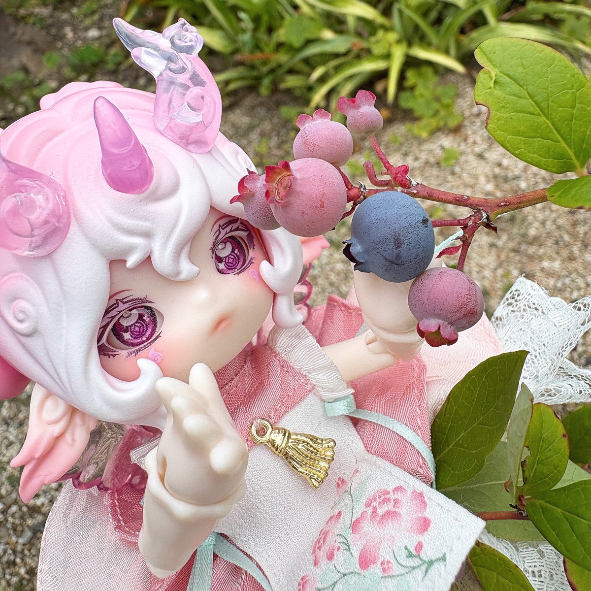 pmuzu01's tweet photo. お庭のブルーベリーが実ったので収穫したよ🫐✨

#antu 
#ブラインドドール https://t.co/Cq3wlh2b2b