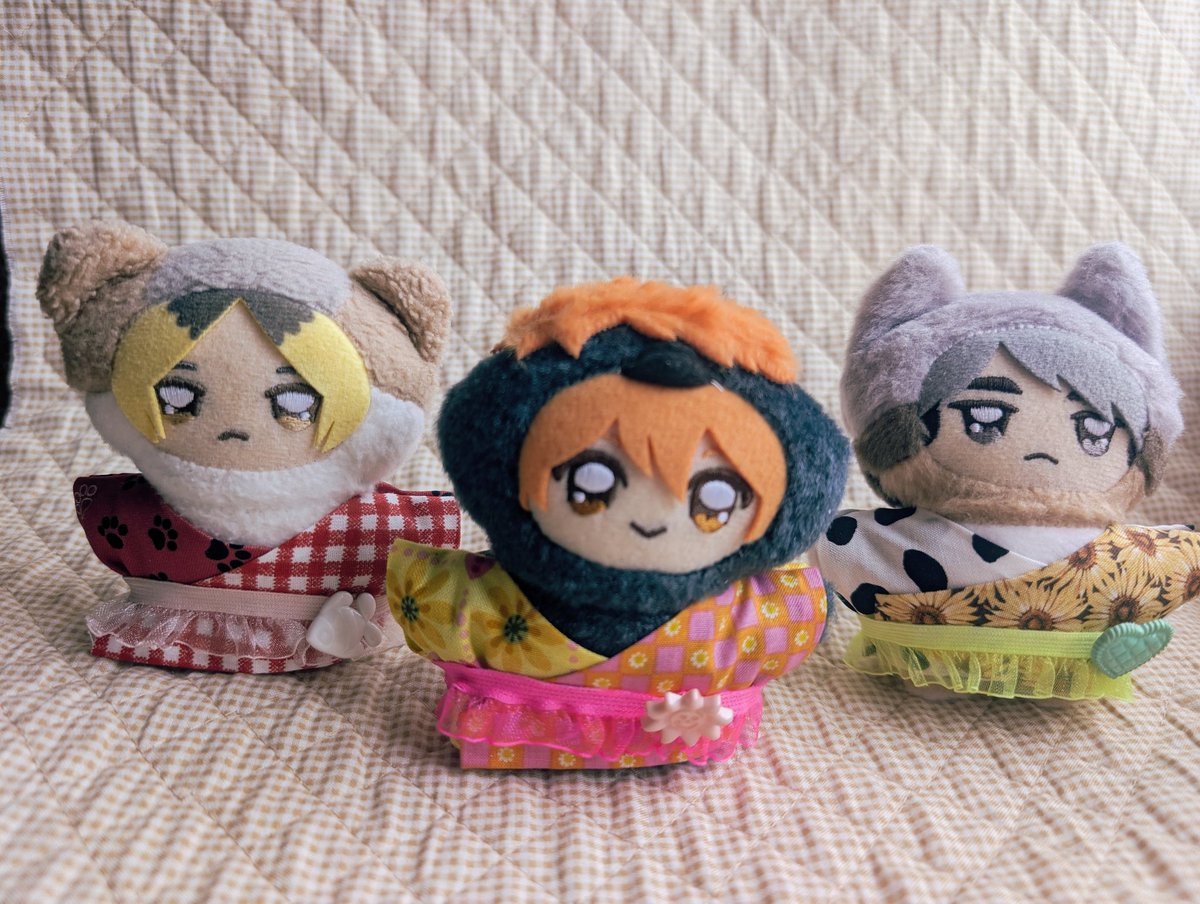 _apetope's tweet photo. 黒い帯もかわいいことに気がつきました https://t.co/JUJzny7SpT