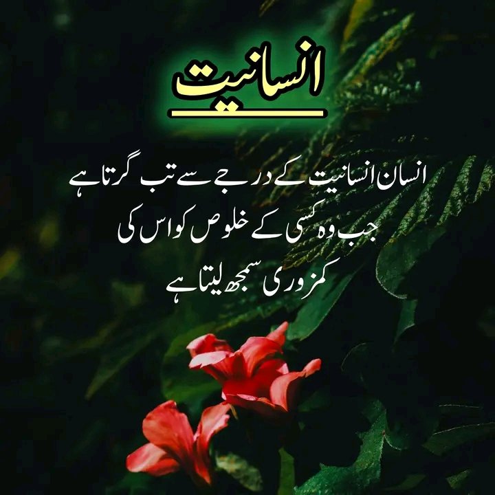 AwazFowllo's tweet photo. Right answer 💯🧐🧐 https://t.co/jFlKSjtBPI