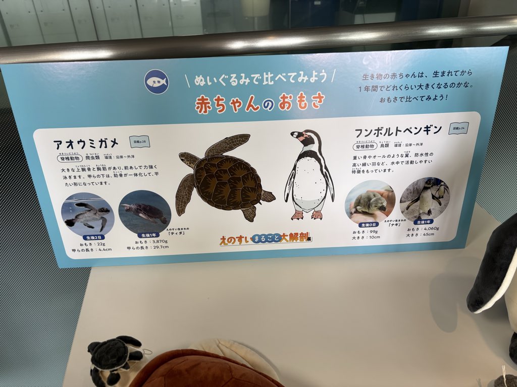 planeCl2016's tweet photo. 3,870ｇ持ち上げられました、今なら子育ていけます(一般産後赤子体重オーバー)
#えのすい大解剖 https://t.co/7Vn9F3tC3b