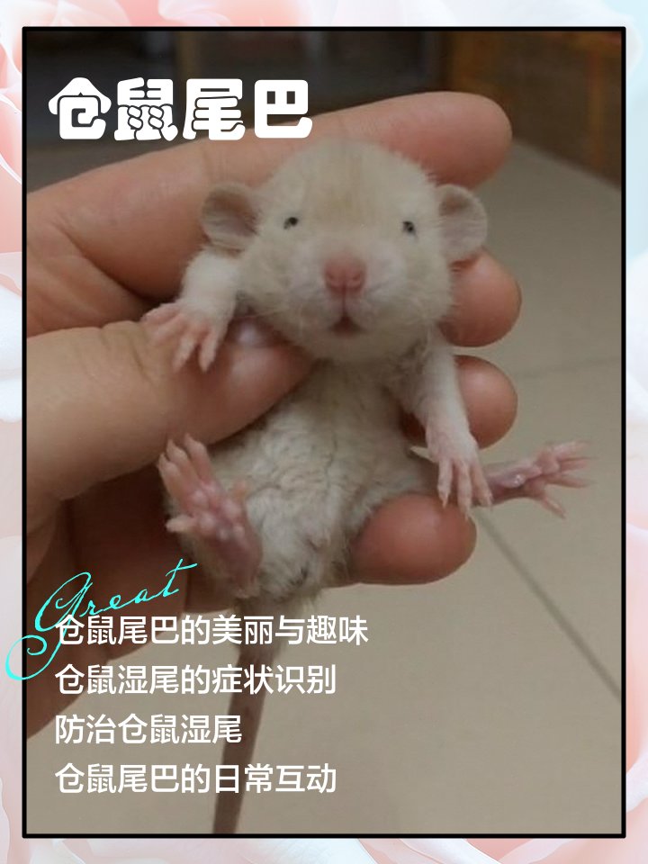 LiliNathopf's tweet photo. Just caught my intern trying to use the office printer to scan their hamster for a "pet ID" pic. Spoiler: The printer only outputs blurry, tiny tail snippets. #WorkLife https://t.co/8fQ5Q3a3Cx