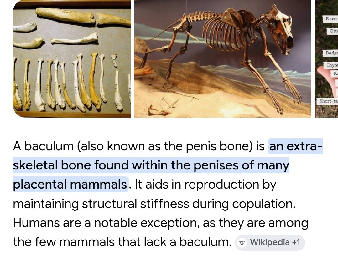 tweekbest's tweet photo. God shouldn't have taken man's baculum away https://t.co/MseYaCsUDx