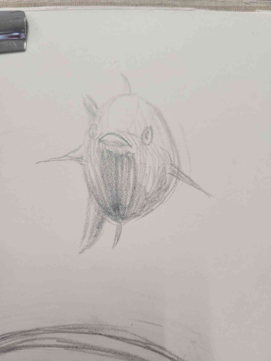 5ixKa's tweet photo. 正面から見たマグロとゴリラ https://t.co/2q9bSbowhS