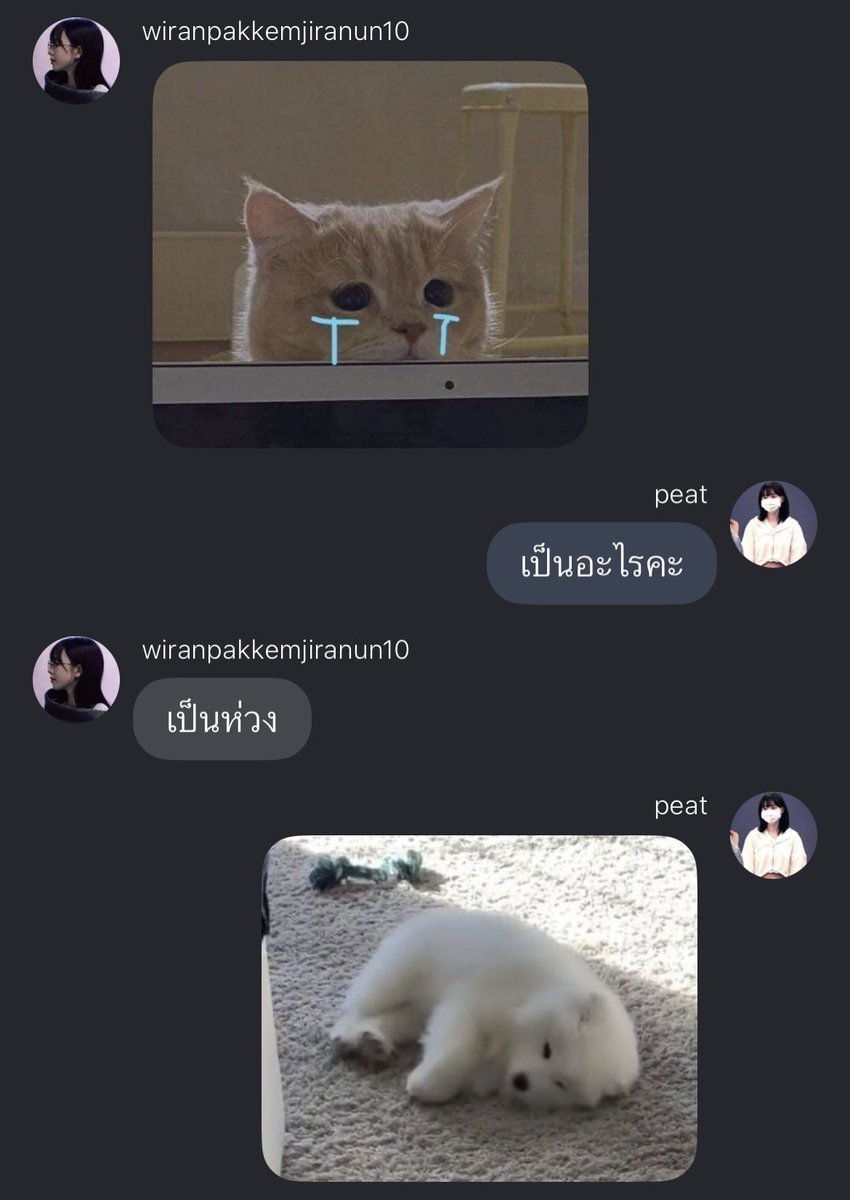 imtrexwin's tweet photo. คิดถึงพวกนางจัง ป่านนี้จะไปอุ๋งกันอยู่ที่ไหนแล้วน้ะ ㅠㅠ https://t.co/HS1UPIuewG