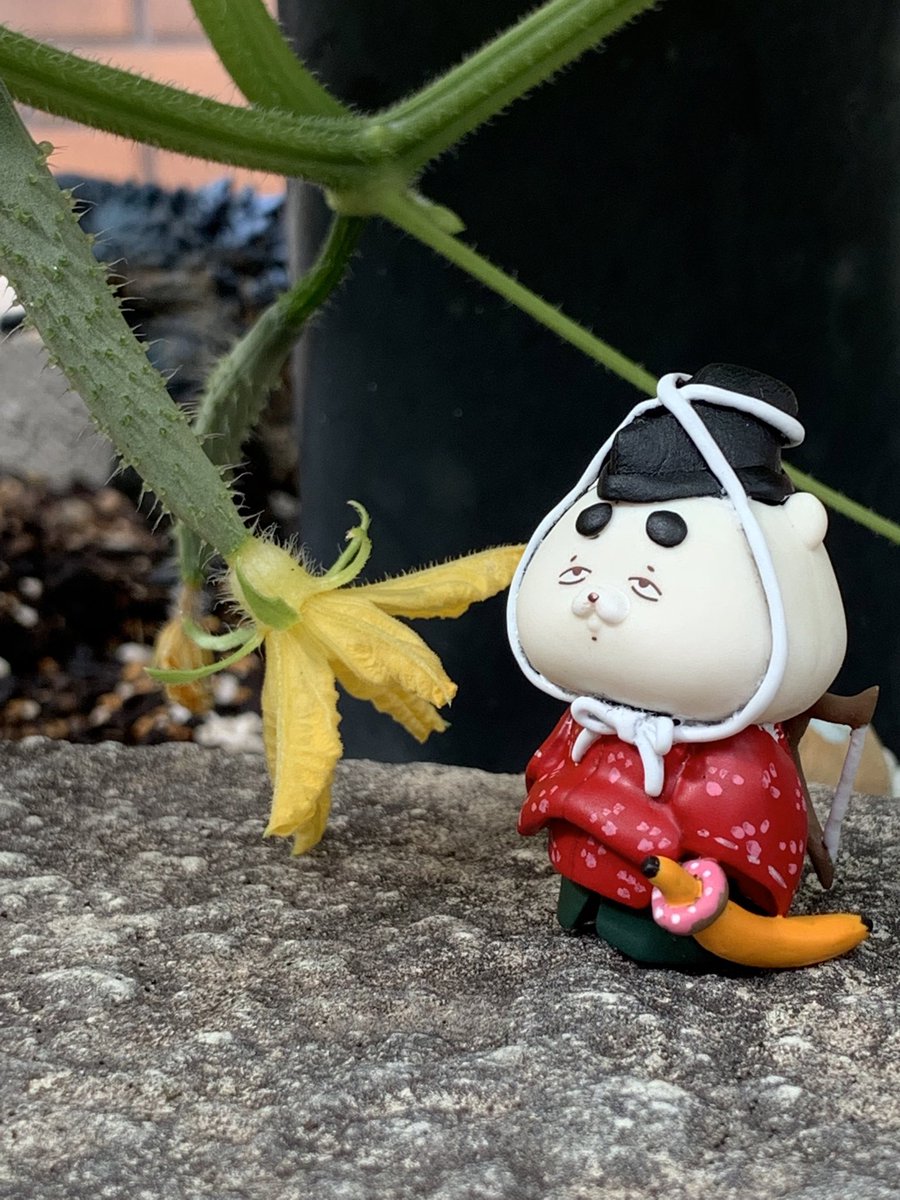 6yfTo33xSSRu8DX's tweet photo. なつかしの烏丸少将 https://t.co/8E7JXafEpY