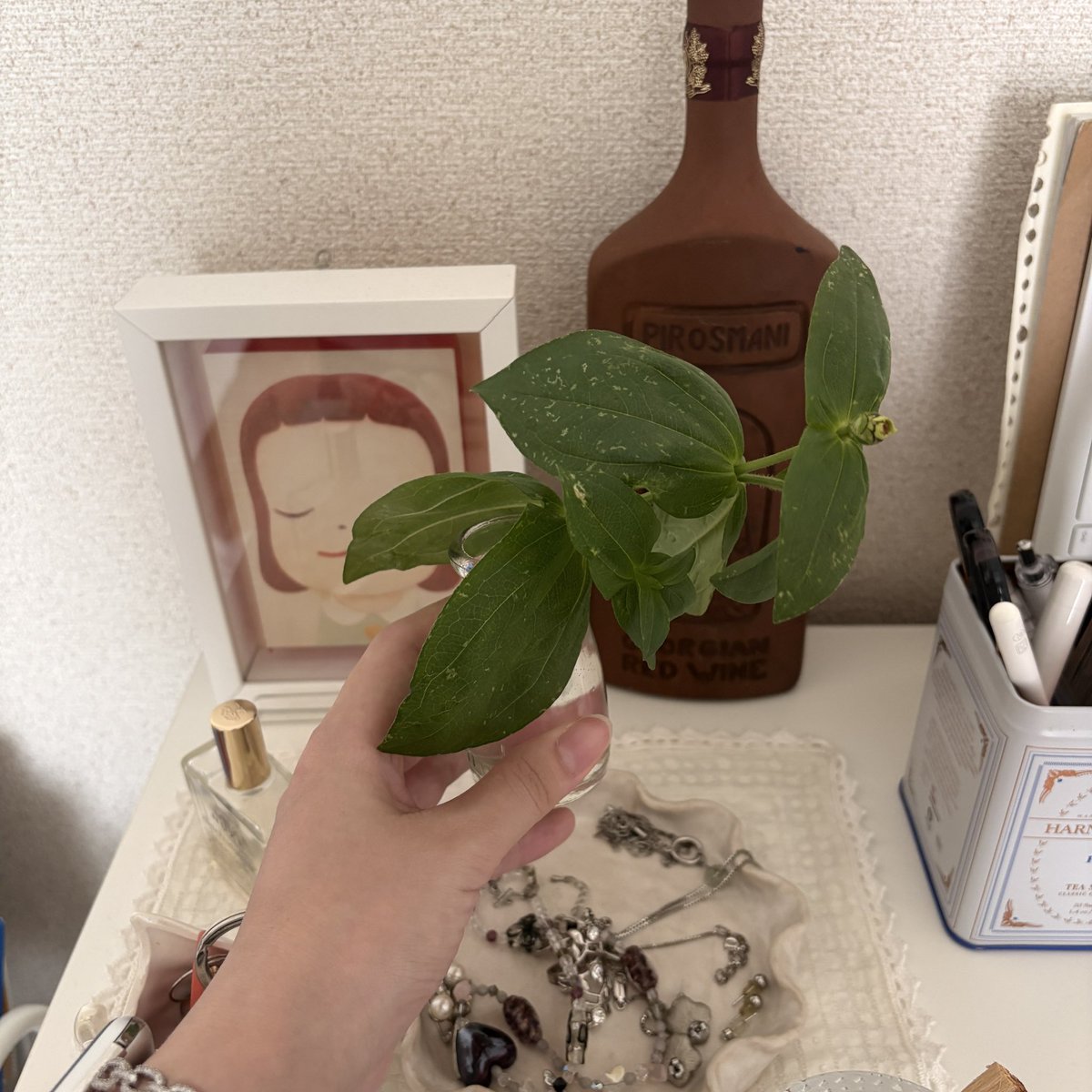 c_mor_e's tweet photo. 土曜日の朝が1番生命力に溢れてる
明るい部屋で音楽流しながら本読んだり絵描くのが1番幸せ https://t.co/izx8N0wLe9