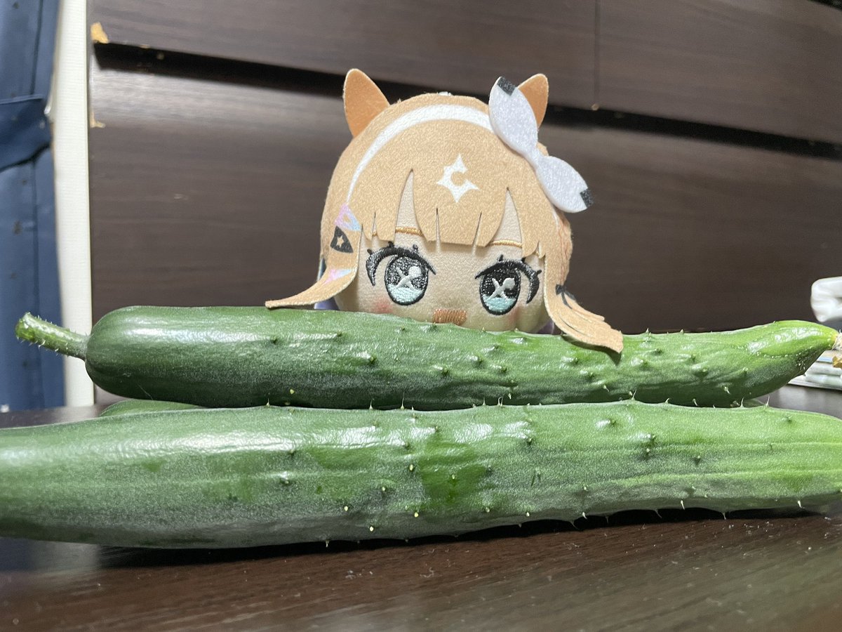 ryumurasame's tweet photo. アイちゃんの畑のきゅうりは元気に育ってます。 https://t.co/ncqxSEfSuq