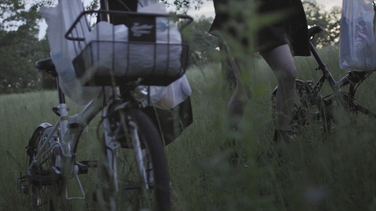 sapphilms's tweet photo. a bride for rip van winkle (2016) dir. shunji iwai https://t.co/21cnE4m1Bz