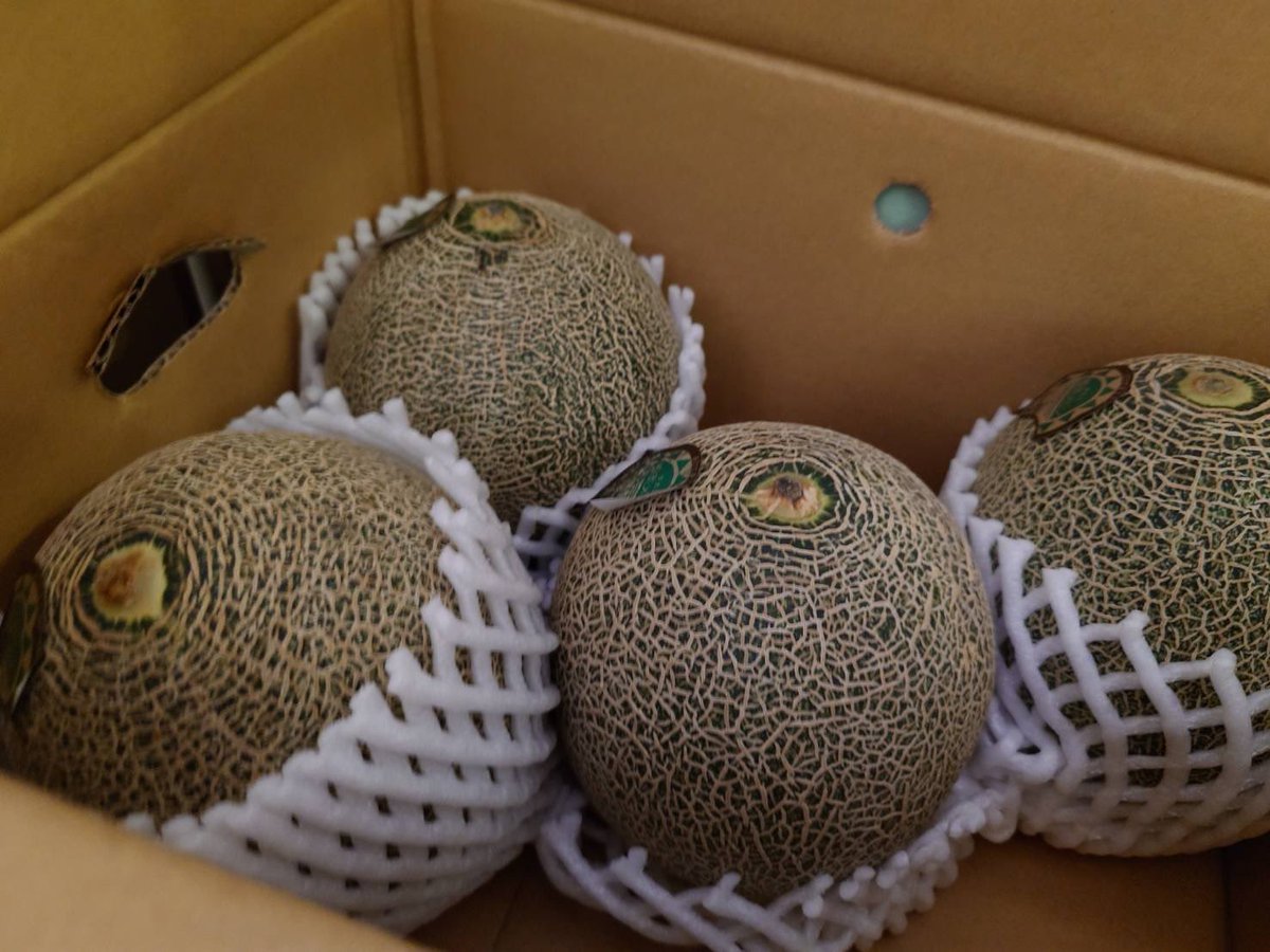 tomisato321's tweet photo. 【もってきーな＋富里店 7月4日新入荷景品】

🍈フルーツ緊急入荷！🍑
本日はメロン🍈と桃🍑ご用意してます😳

数量限定なのでお早めに🐒

#もってきーな
#もってきーな富里店 https://t.co/Oqpojbnv1Y