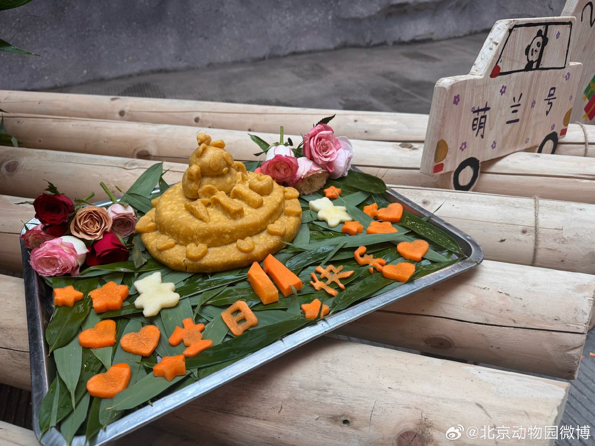 likingpanda's tweet photo. Menglan's 11th birthday celebration with the zoo's signature wotou cake 🎂🧸🚗✨
#menglan #pandabirthday 📷Beijing Zoo https://t.co/nq3JARdPHe