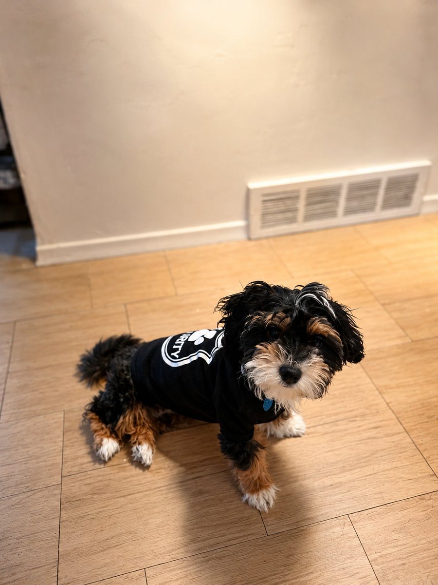 paintwithlinx's tweet photo. They say you rescue a dog, but somehow Dasher rescued me. He gave me hope when I couldn't find any, purpose when I felt lost, and a reason to keep going. I'll never be able to repay him for what he's done for me, but I'll spend every day trying. ❤️🐾 https://t.co/nv6rNac5QA