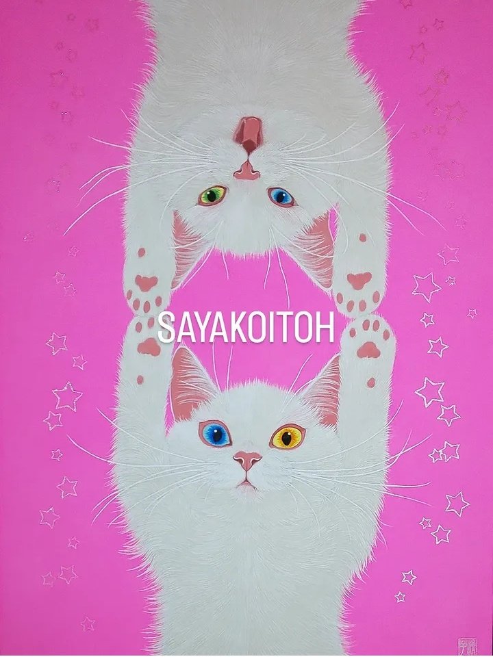 伊藤清子🌟 Sayako Itoh (@sayako1111) / Posts / X