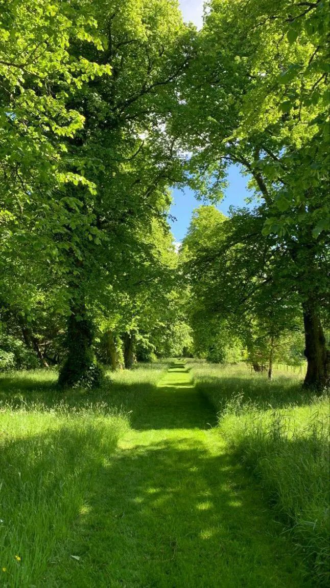 natureinside11's tweet photo. best place to give a relief to your lungs and eyes https://t.co/EnWGEXhbqC